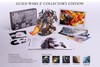 Guild Wars 2 Collector's Edition