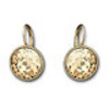 Bella Golden Shadow Pierced Earrings