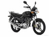 Yamaha YBR 125