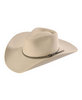 stetson hat