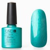 Shellac CND Hotski to Tchotchke