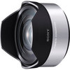 Fisheye converter