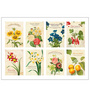 Набор наклеек 'Ancien Stamp Sticker' - Botanical