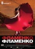 Фламенко, фламенко (Карлос Саура, 2010)