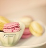 Попробовать печенье Macarons