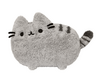 Pusheen plush toy