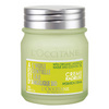 Angelica Hydration Cream by L'Occitane