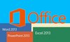 MS Office 2013