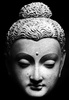 Buddha's head