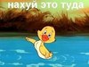 Покой