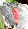 Pink Cuttlefish Necklace with Polka Dots