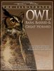 The Illustrated Owl: Barn, Barred, & Great Horned: The Ultimate Reference Guide for Bird Lovers, Artists, and Woodcarvers (The D