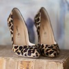 leopard pumps