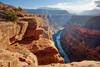 see the Grand canyon