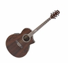 Гитара IBANEZ EW20WNE NT