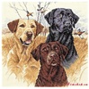 Great Hunting Dogs