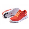 Nike Free Run + v2 (women's)