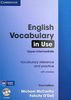 English Vocabulary in Use Upper-Intermediate