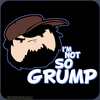 Футболка I'm not so grump