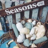 годовая подписка на seasons