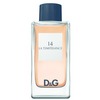 D&G 14 La Temperance