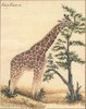 Набор для вышивания J112-75 Giraffe / Janlynn