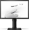 Монитор 24" Benq BL2411PT