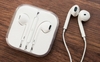 Наушники EarPods