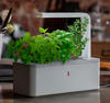 Click & Grow Smart Herb Garden