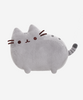 Medium Pusheen plush toy