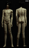 SpiritDoll - 2nd ver. Proud Male Body (NORMAL)