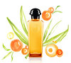 Perfume Hermes Eau de mandarine ambr&#233;e.