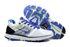 Nike Lunarglide 2 White Blue Mens Shoes