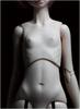 Spirit Doll 1/4 smart gril joint torso body