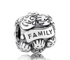 Pandora charm FAMILY