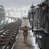 Устроить одинокий выходной и играть в Syberia