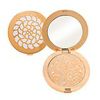 Meteorites Compact Powder for Face Voyage Gold Temptation (компактная)