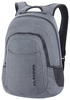 DAKINE Factor 20 grey (carbon)