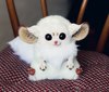 Inari Foxes: Ivory