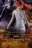 City of Heavenly Fire