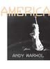 Andy Warhol America