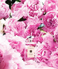 Jo Malone - Peony and Blush Suede