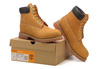 timberland