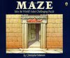 Maze by Christopher Manson