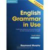 English Grammar in Use with Answers