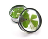 Real 4 Leaf Clover Embedded Plugs