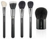 Any MAC Powder Brush 150/134/187/182