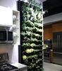 Vertical Kitchen Garden