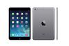 iPad mini Retina