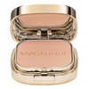 Dolce&Gabbana Perfect Finish Powder